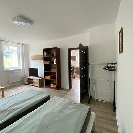 Apartmany U Viaduktu 46 Ústí nad Labem Eksteriør bilde